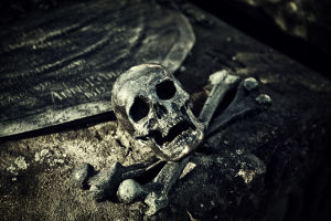Russia’s Black Death Virus Update